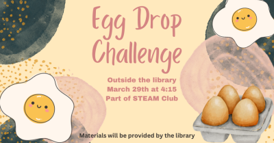 egg drop challenge