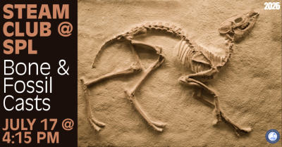 Bone & Fossil Casts