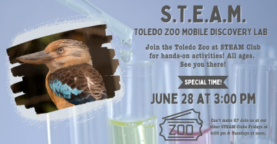 steam zoo