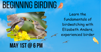Beginning Birding: Birdwatching Basics May 2024