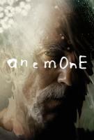 Anemone