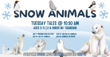 Tuesday Tales Storytime - Snow Animals