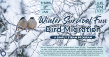 Simply STEAM for grades K-4 - Winter Survival Fun: Bird Migration