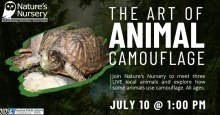 The Art of Animal Camouflage with Nature’s Nursery (all ages)