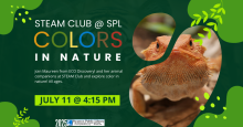 STEAM Club: Colors in Nature with ECO Discovery! (all ages)
